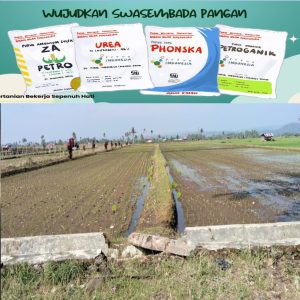 Harga Pupuk Bersubsidi di Lebong Tembus Rp180 Ribu, Jauh Lampaui HET Permentan No. 15/2025